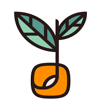 PiP Coders | Agency Vista