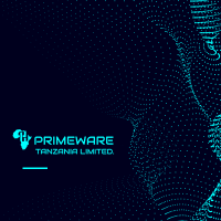 Primeware Tanzania Limited | Agency Vista