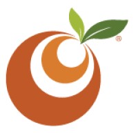 Quantum Branding | Agency Vista