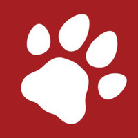 Red Dog Agency | Agency Vista