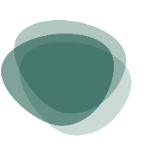 Sava Digital on Facebook