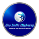 SEO India Higherup | Agency Vista