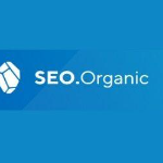 SEO Organic | Agency Vista