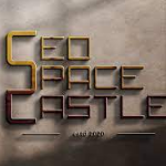 SEO Space Castle - Digital Marketing Agency INDIA | Agency Vista