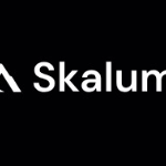 Skalum Shopify Agentur | Agency Vista