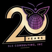 SLS Consulting | Agency Vista