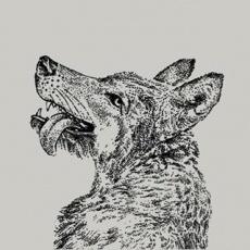 Smiling Wolf | Agency Vista