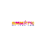 SMM Star Pro | Agency Vista