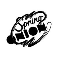 Spring Onion Studio | Agency Vista