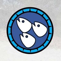 Stargazy Solutions | Agency Vista