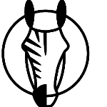 Striped Horse | Agency Vista