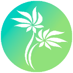 Technology Aloha | Agency Vista