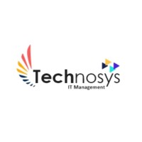 Technosys IT Management | Agency Vista