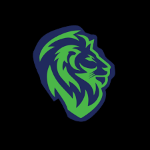 The Go - To Guy ! | Agency Vista