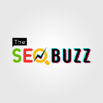 The Seo Buzz | Agency Vista