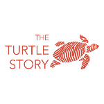 The Turtle Story | Agency Vista