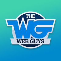 The Web Guys (Carmel) | Agency Vista