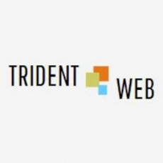 Trident Web Infoservices | Agency Vista