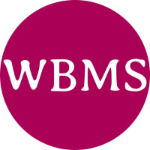 WBMS Web Developers | Agency Vista