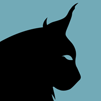 Wildcat SEO on Twitter