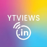 YTVIEWS ONLINE MEDIA LLC | Agency Vista