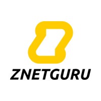znetguru.com | Agency Vista