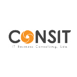 Consit - IT Business Consulting