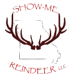 Show-Me Reindeer