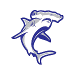 Water Attack Pressure Washing